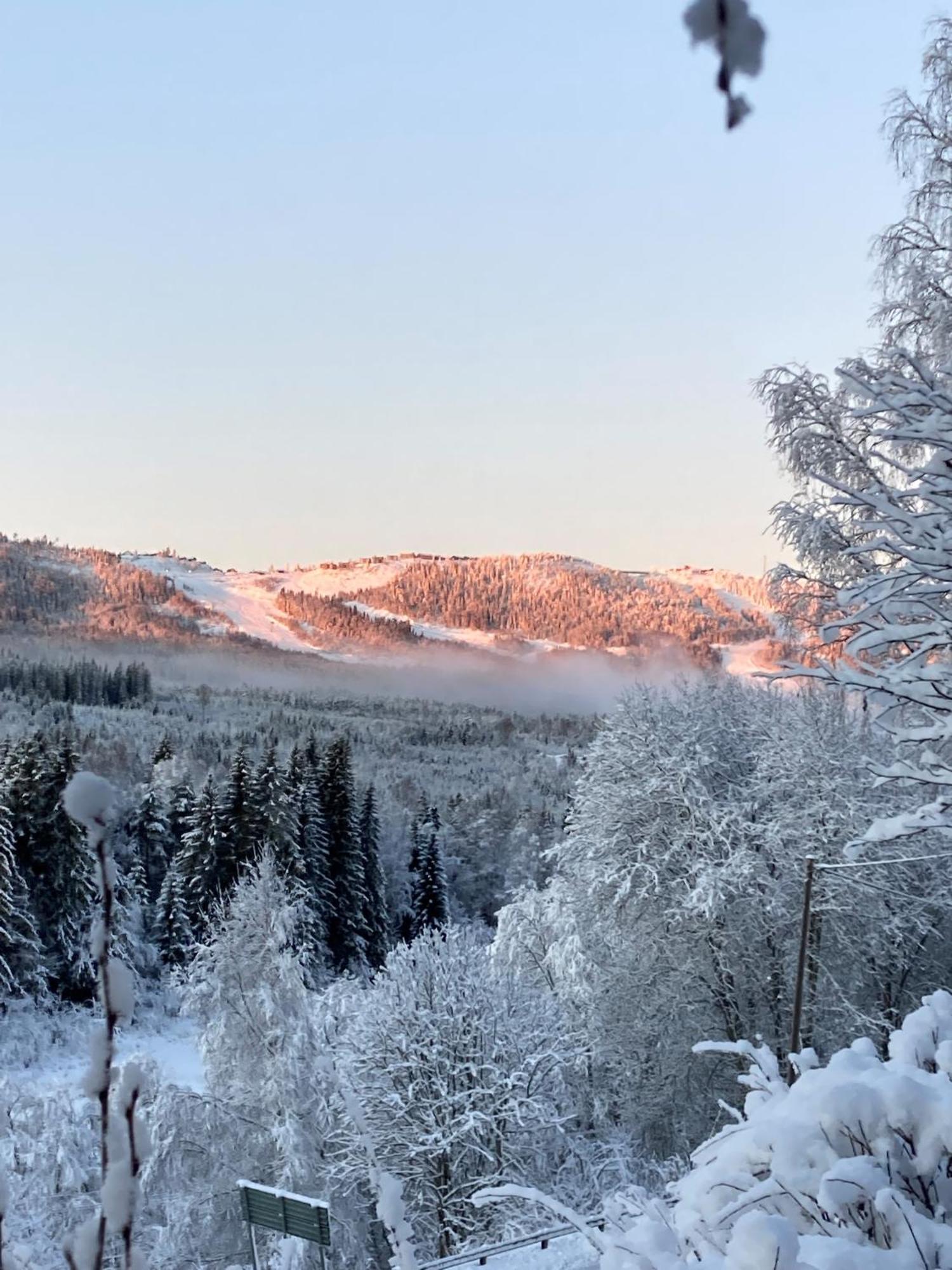 Charmig Villa Med Bastu Och Snabbt Wifi Långav 外观 照片